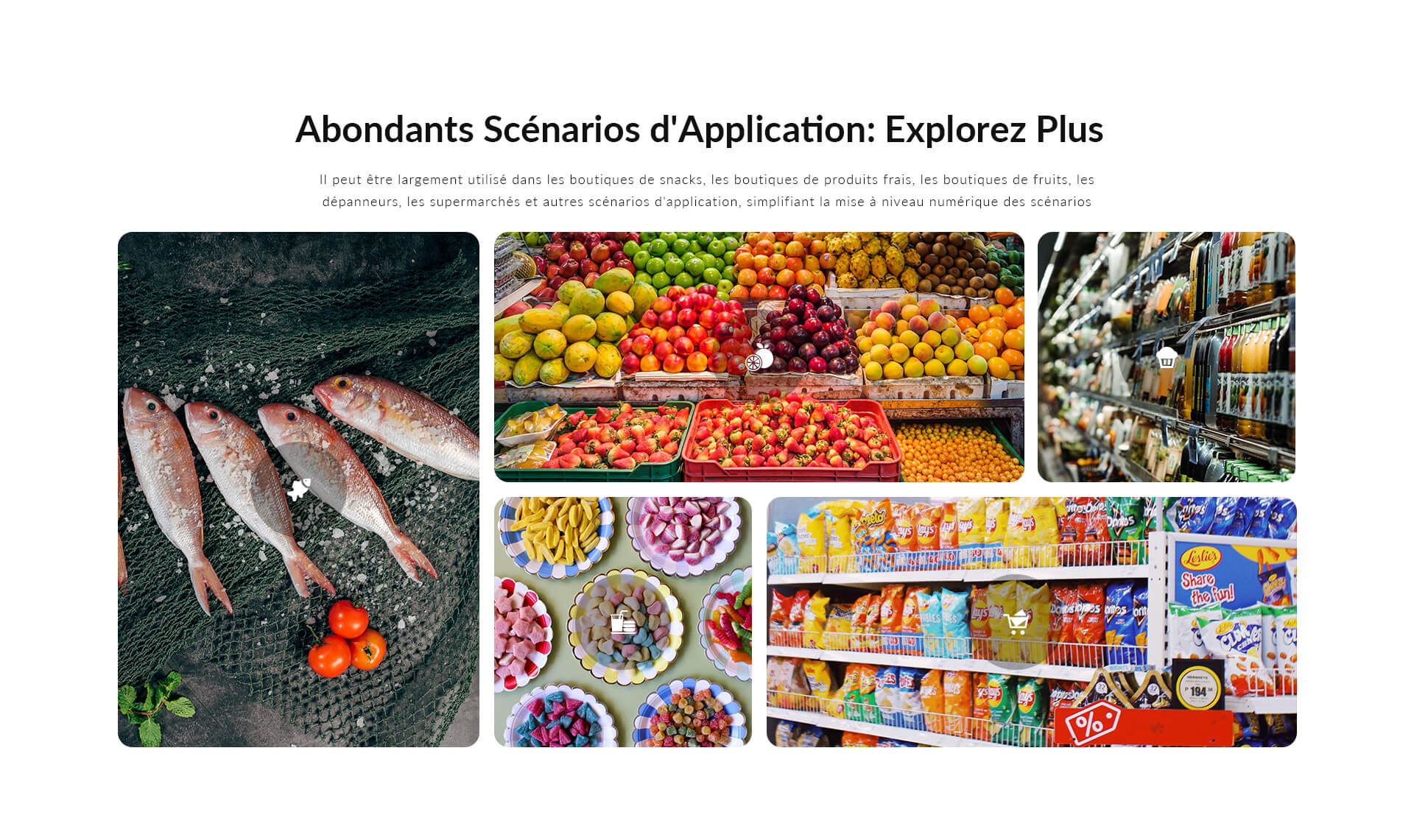 1765329246727135.jpg 7.jpg